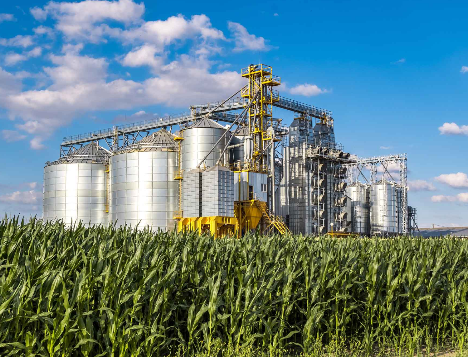 agri-business Industry